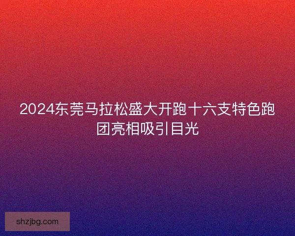 2024东莞马拉松盛大开跑十六支特色跑团亮相吸引目光 2024东莞马拉松盛大开跑十六支特色跑团亮相吸引目光